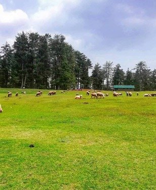 Pahalgam